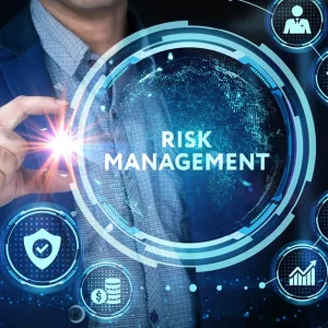 Risk Management and Mitigation Strategies