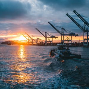 Port Infrastructure and Terminal Management