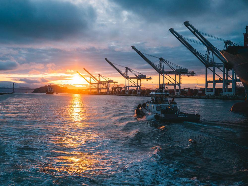 Port Infrastructure and Terminal Management
